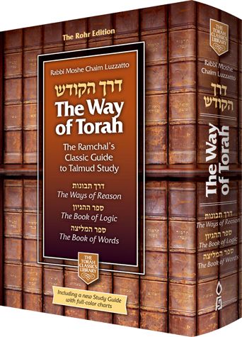 The Way of Torah — view 2 | Judaica Square Lakewood