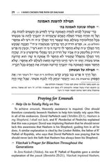 R' David Chai Abuchatzeira on Emunah and Bitachon