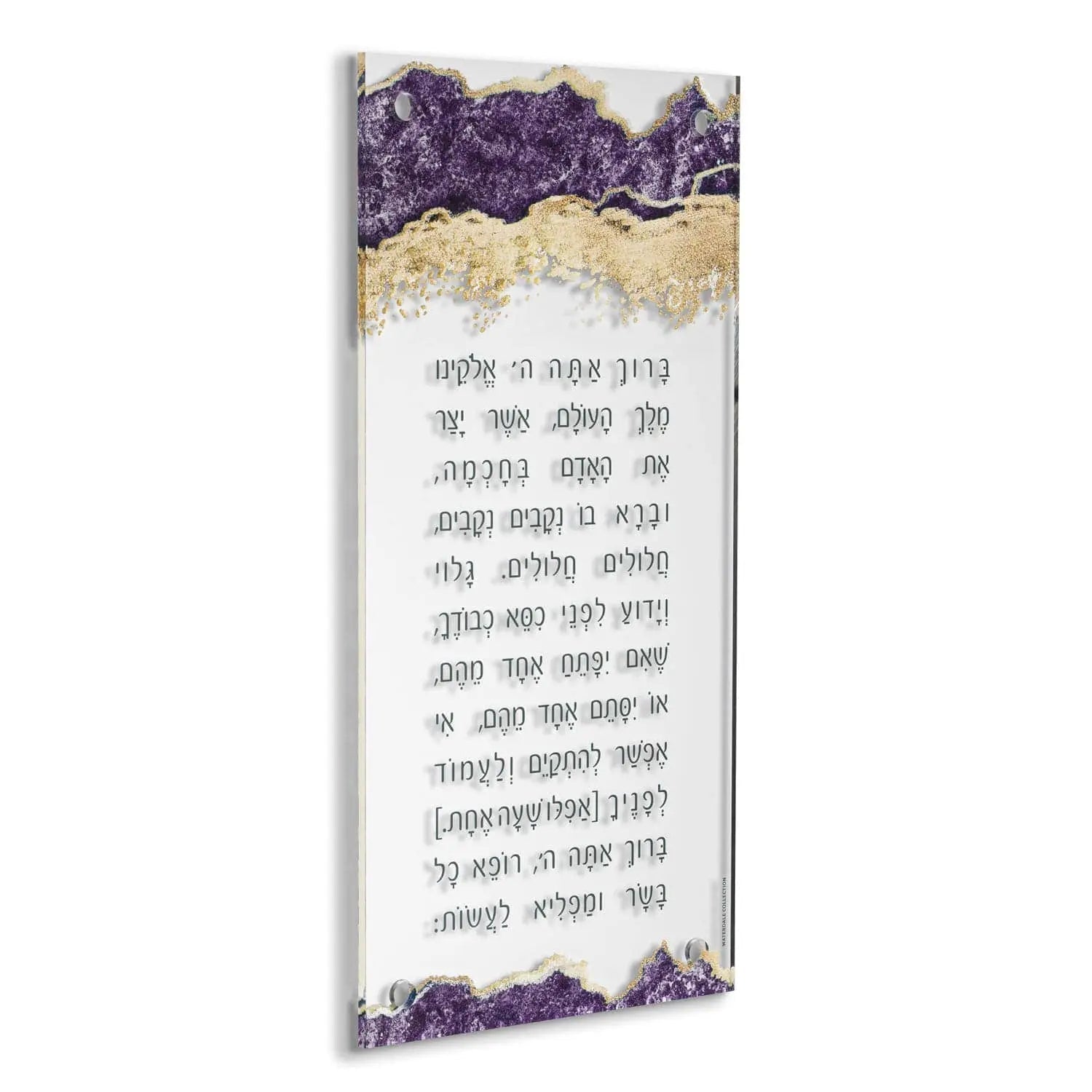 Abstract Asher Yatzar | Judaica Square Lakewood
