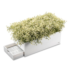 Lucite Boxwood Bencher Set