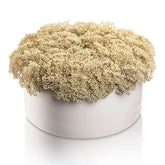 Greenery Round Vase Bencher Set