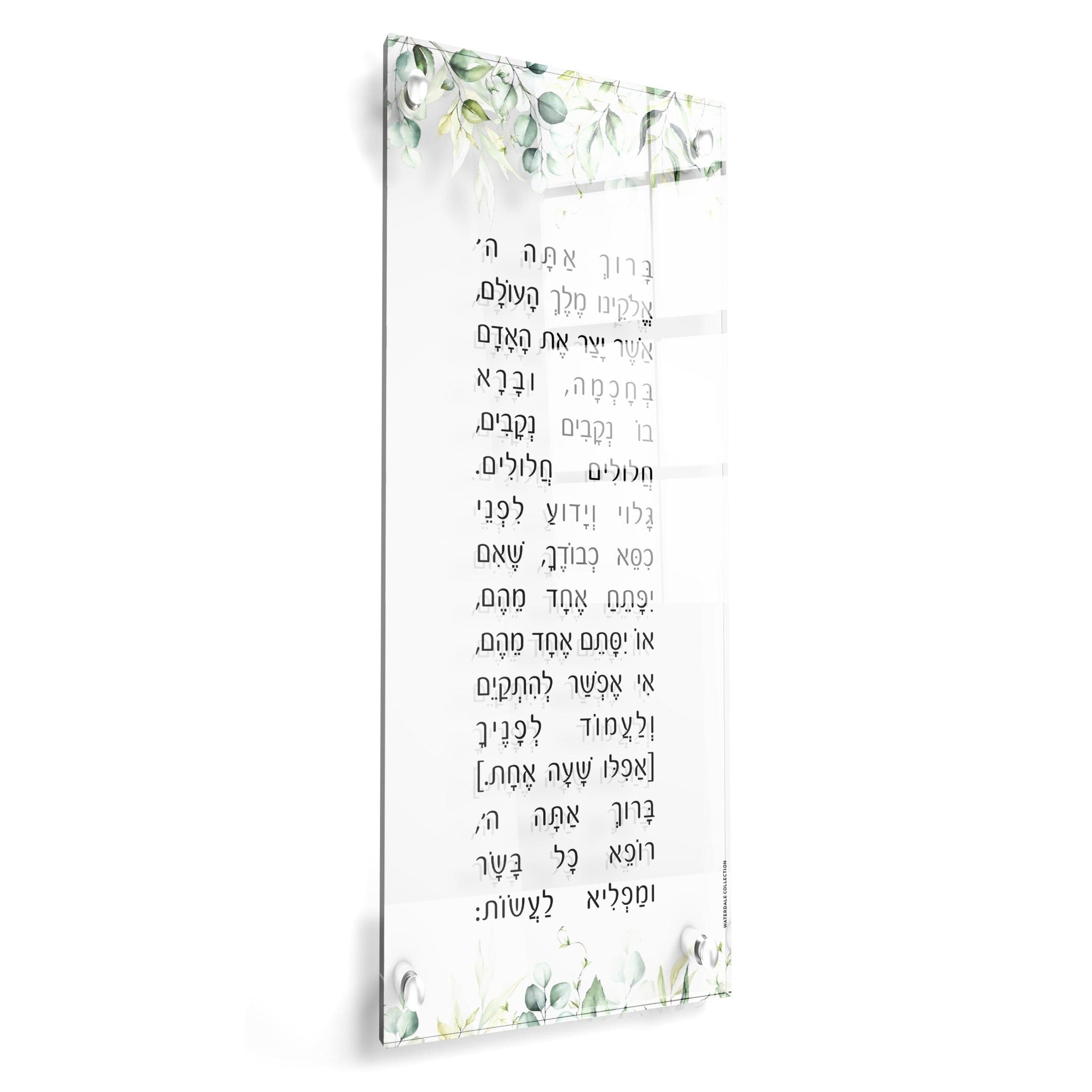 Leaf Asher Yatzar — hero shot | Judaica Square Lakewood