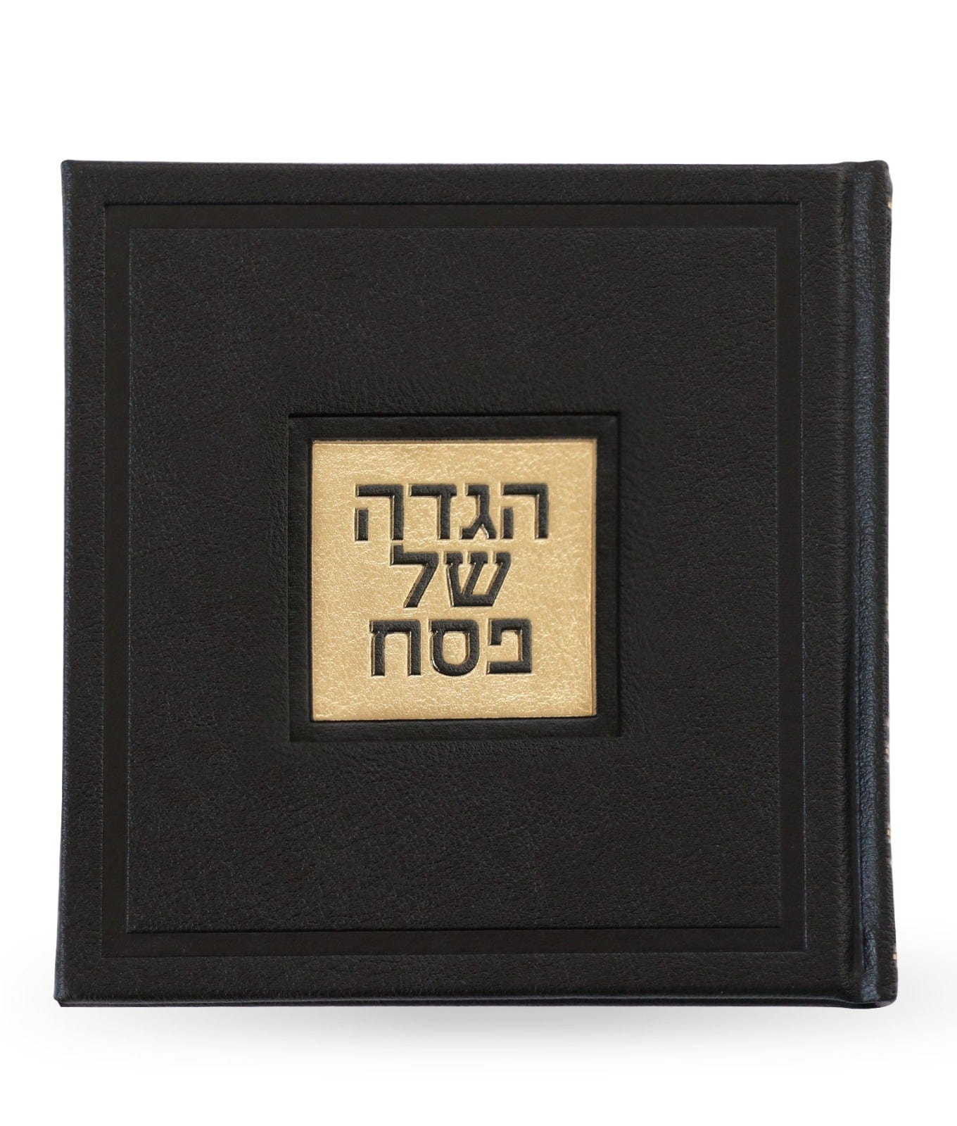 Leather Haggadah with English Instructions