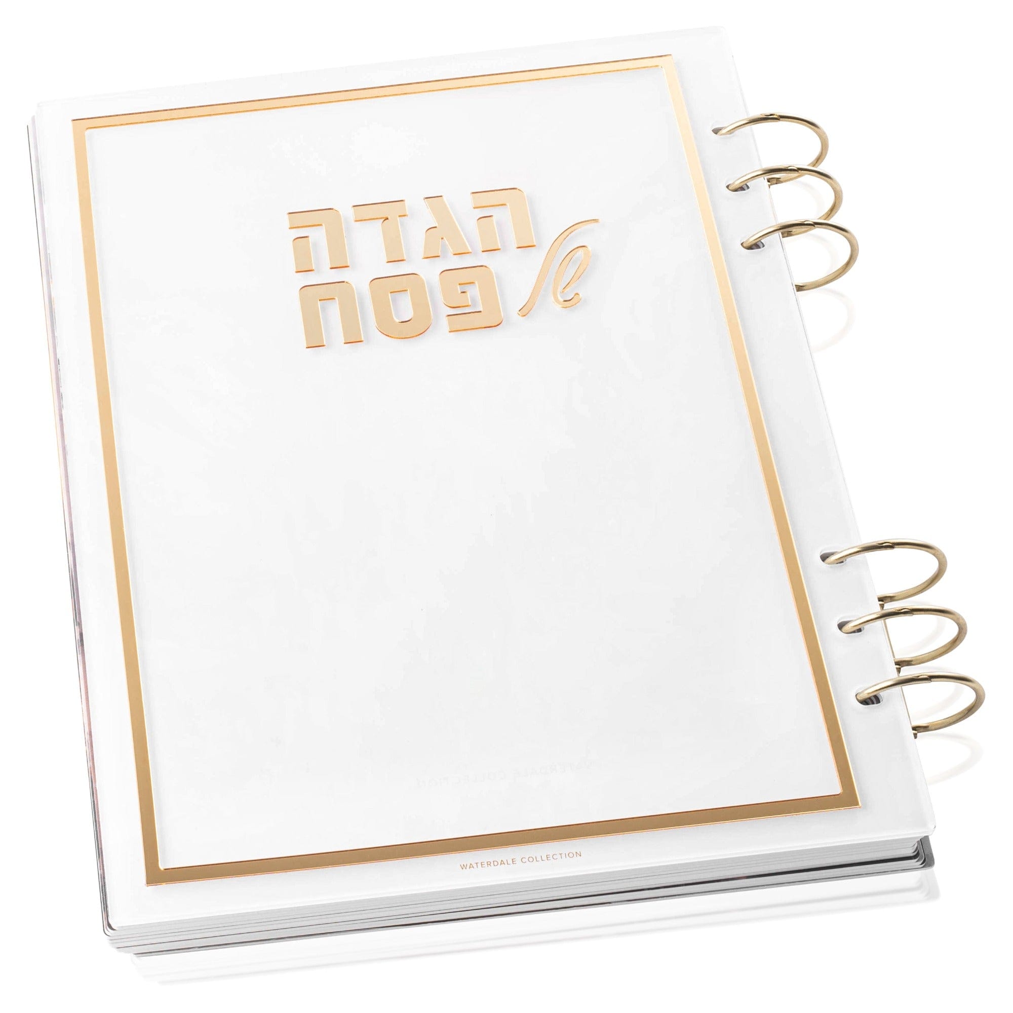 Painted by Batya Lucite Haggadah