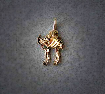 Micro Chai | Judaica Square Lakewood