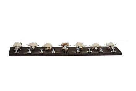 Shell Turtle Menorah