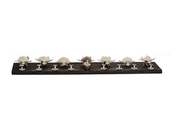 Shell turtle Chanukah menorah with a row of seashell turtles and candle cups on a long dark wood base
