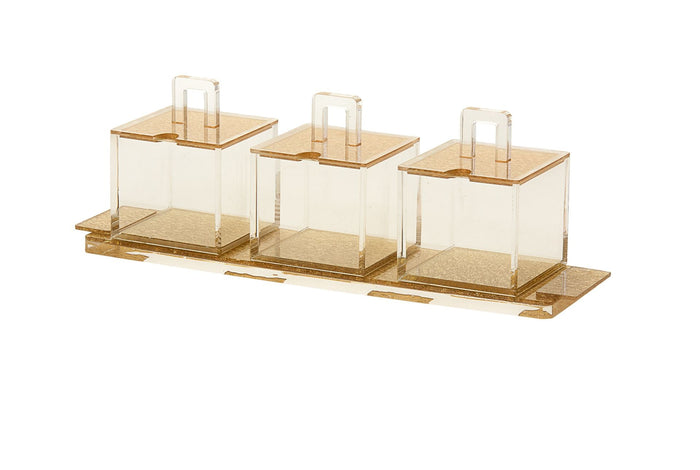 Tray with 3 Separate dishes Lucite Gold | Judaica Square Lakewood