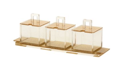 Tray with 3 Separate dishes Lucite Gold