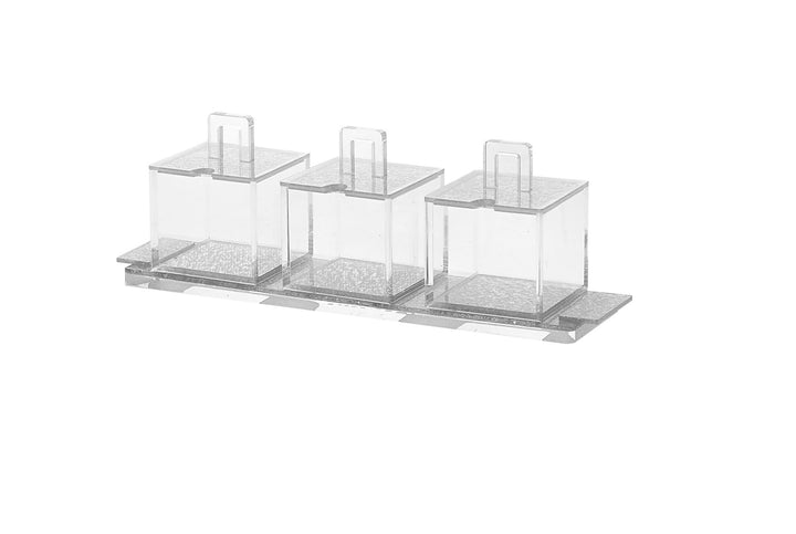Sectional Serving Tray with 3 Lucite Dishes — Silver