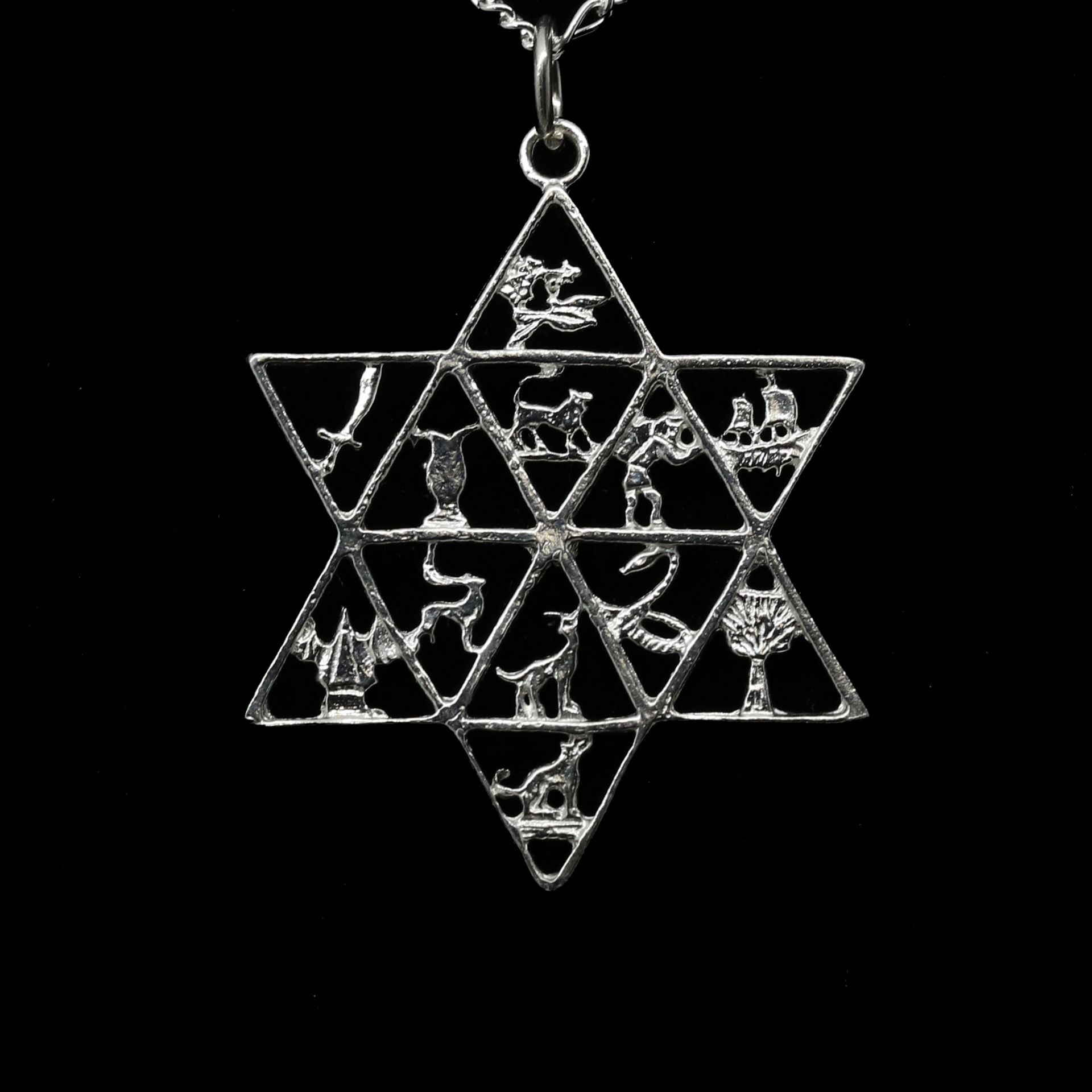 Twelve Tribes Star of David Pendant | Judaica Square Lakewood