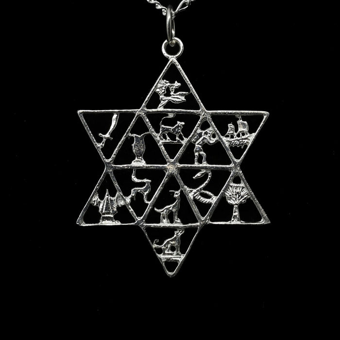 Twelve Tribes Star of David Pendant | Judaica Square Lakewood