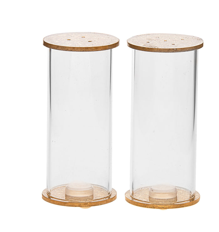 Two clear round Lucite salt and pepper shakers with gold-tone perforated tops and matching bases