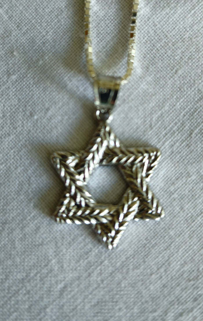 High polished sterling Star of David of braided laurel leaves on a box chain, laid on linen