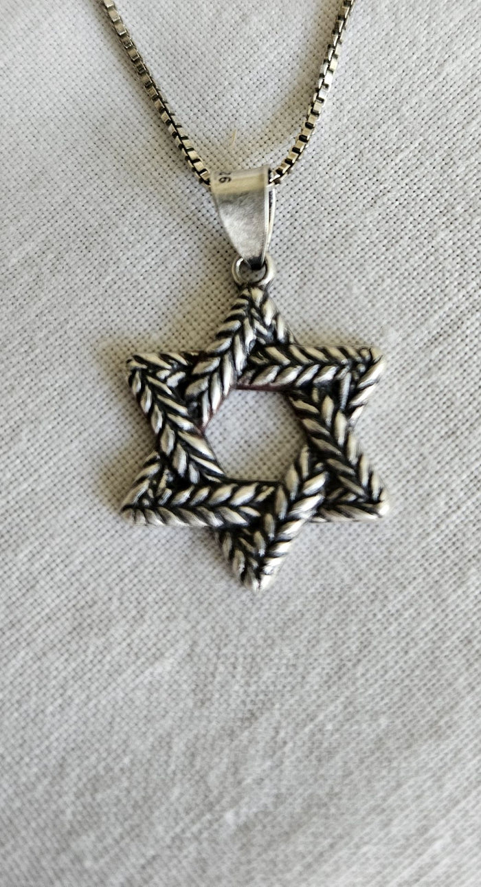 Oxidized sterling Star of David of braided laurel leaves with darkened texture, on a box chain