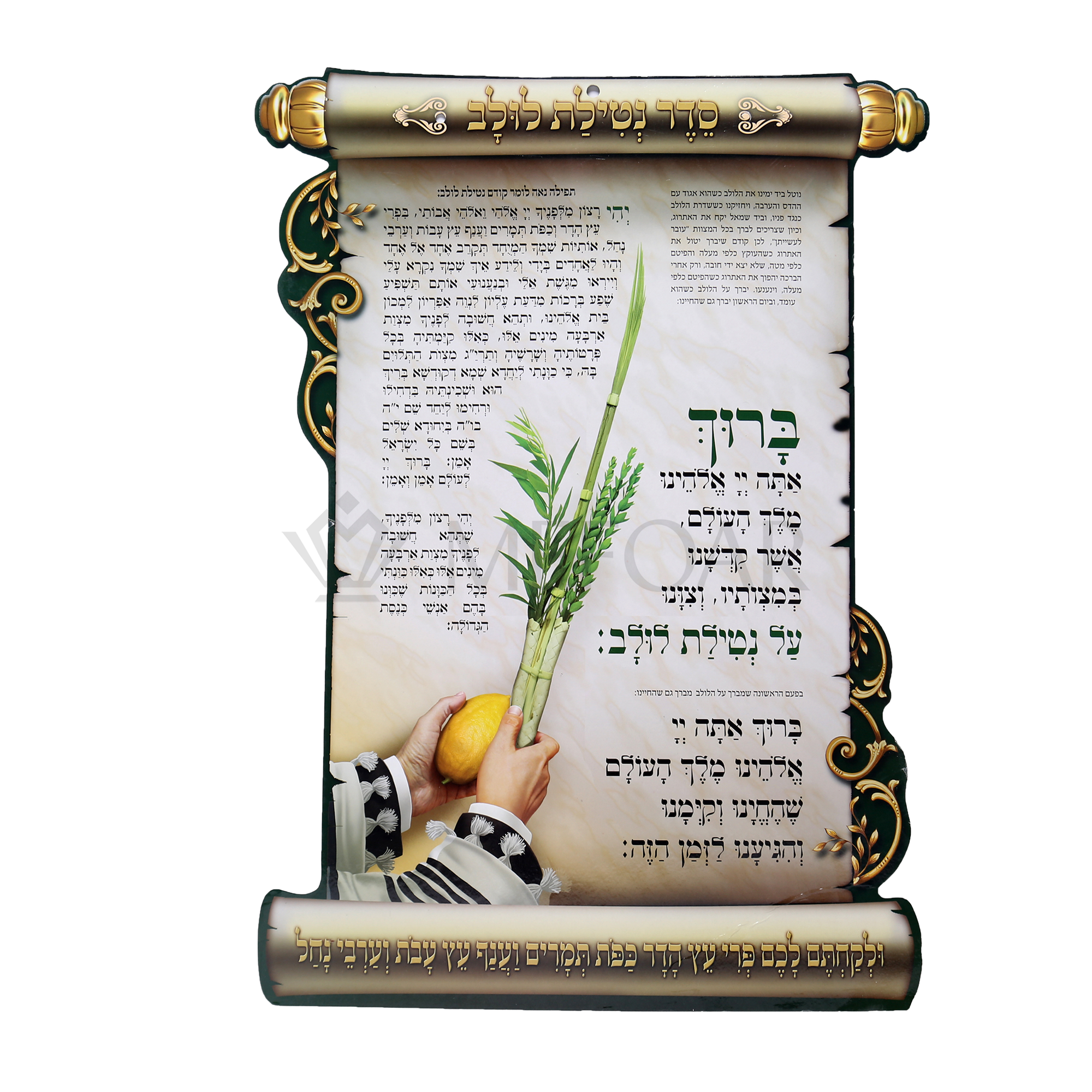 Noy Sukkah, Cardborad Poster- Seder Birchat Luluv - Judaica Posters & Murals