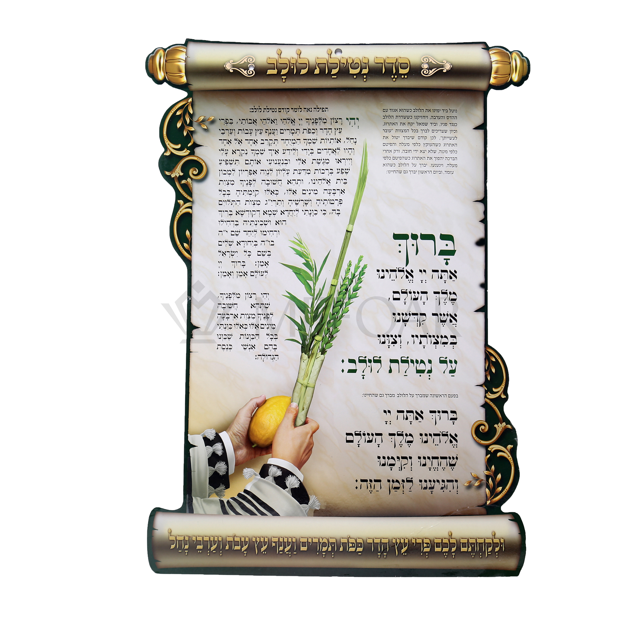 Noy Sukkah, Cardborad Poster- Seder Birchat Luluv - Judaica Posters & Murals