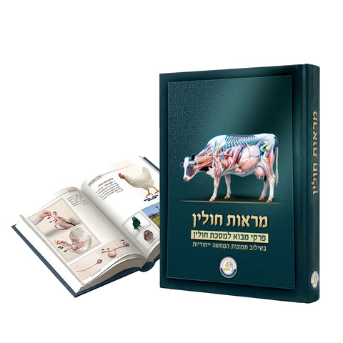 מראות חולין – Maros Chullin (Illustrated Masechet Chullin)