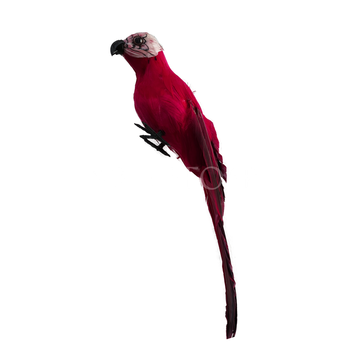 Mefoar Noy Sukkah, Hanging Bird- Red - Sukkah Decorations