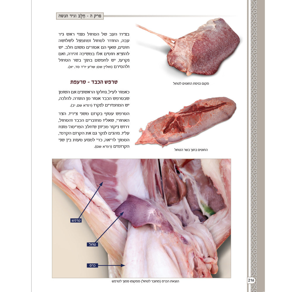 מראות חולין – Maros Chullin (Illustrated Masechet Chullin)