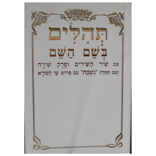 Tehillim Beshem Hashem Hebrew Small תהילים בשם השם (BK-TBH)