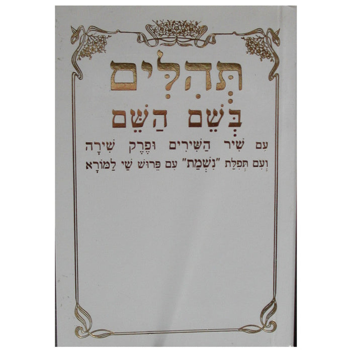 Tehillim Beshem Hashem Hebrew Small תהילים בשם השם (BK-TBH)