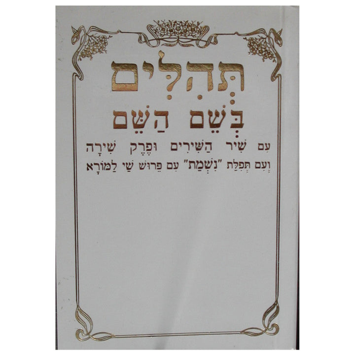 Tehillim Beshem Hashem Hebrew Small תהילים בשם השם (BK-TBH)