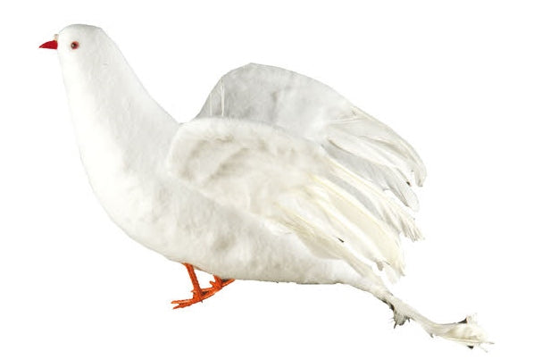 12" White Dove