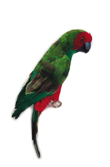 Large Parrot 21"