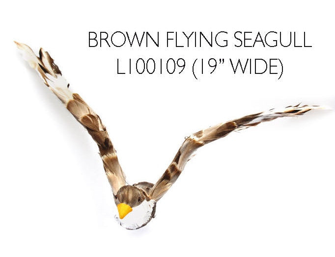Brown Flying Seagull - 19" wide