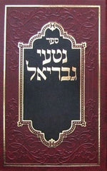 Nitei Gavriel - נטעי גבריאל