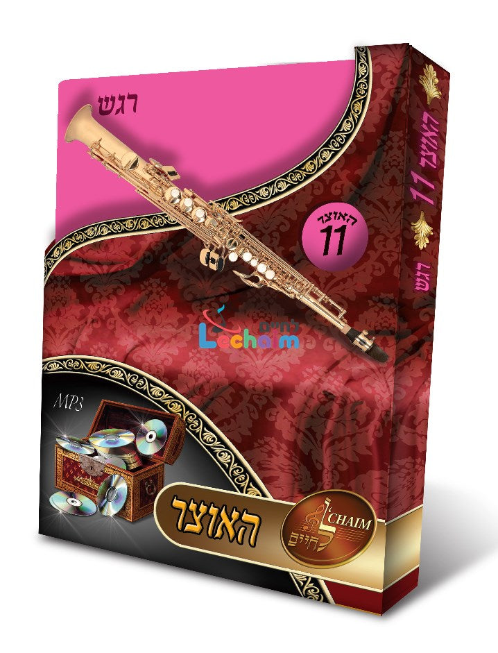 HaOtzar 11 Regesh - האוצר 11 רגש