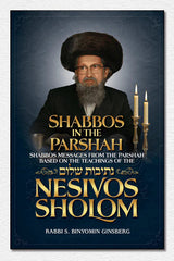 Gems From The Nesivos Shalom - Shabbos in the Parshah