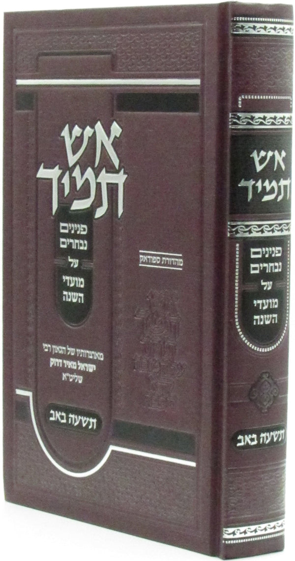 Aish Tamid Al Tisha B'Av - אש תמיד על תשעה באב — Hebrew Seforim from ר' ישראל מאיר דרוק