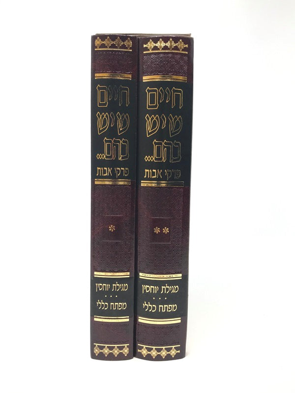Front cover of Chaim Sheyesh Bahem... Avos 2 Volume Set - חיים שיש בהם... פרקי אבות 2 כרכים