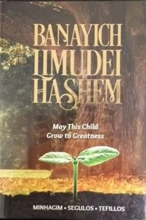 Front cover of Banayich Limudei Hashem