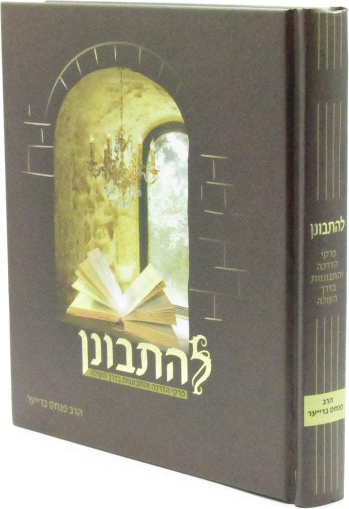 L'Hisbonen Seforim Book