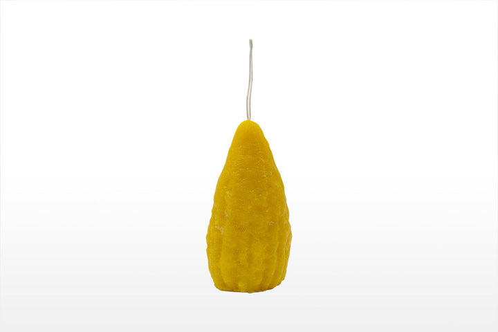 Havdallah Candle Etrog Shape Mini 1.5"x3.5" Jewish Candle