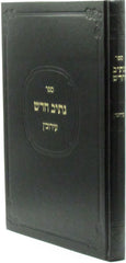 Sefer Nesiv Chadosh Al Maseches Eiruvin - ספר נתיב חדש על מסכת עירובין