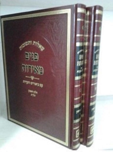 Oz Vehadar Panim Meiros responsa, two burgundy volumes pictured together