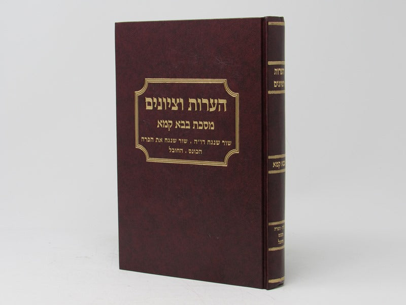 Heoros Vetziyunim Bava Kamma Shor Shenagach - הערות וציונים בבא קמא שור שנגח דו"