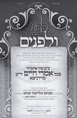 Lifnei V'Lifnim Vizhnitz Volume 1 - לפני ולפנים ויזניצא חלק א