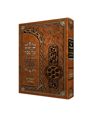 Hardcover Meoros Einayim Haggadah standing upright, gold-framed title and Seder plate medallion on the spine side