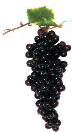 7" grapes cluster  (200124)