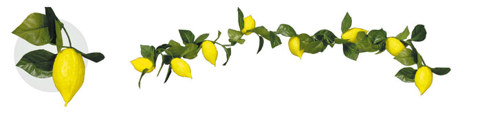 6' Esrog Garland - 8 esrogim