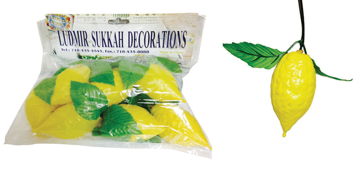Decorative Esrogim for Sukkos — Pack of 10
