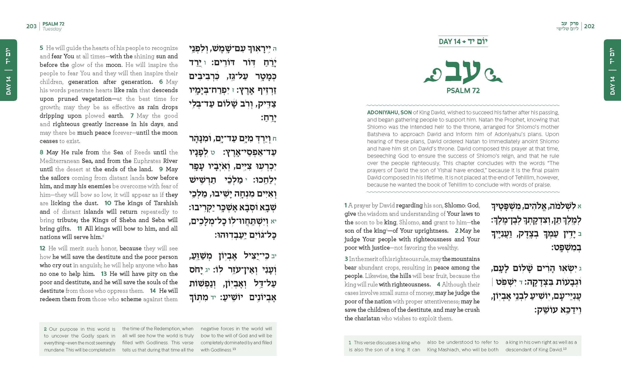 Tehillim – The Weiss Edition (Hebrew/English) — Tehillim | Judaica Square Lakewood