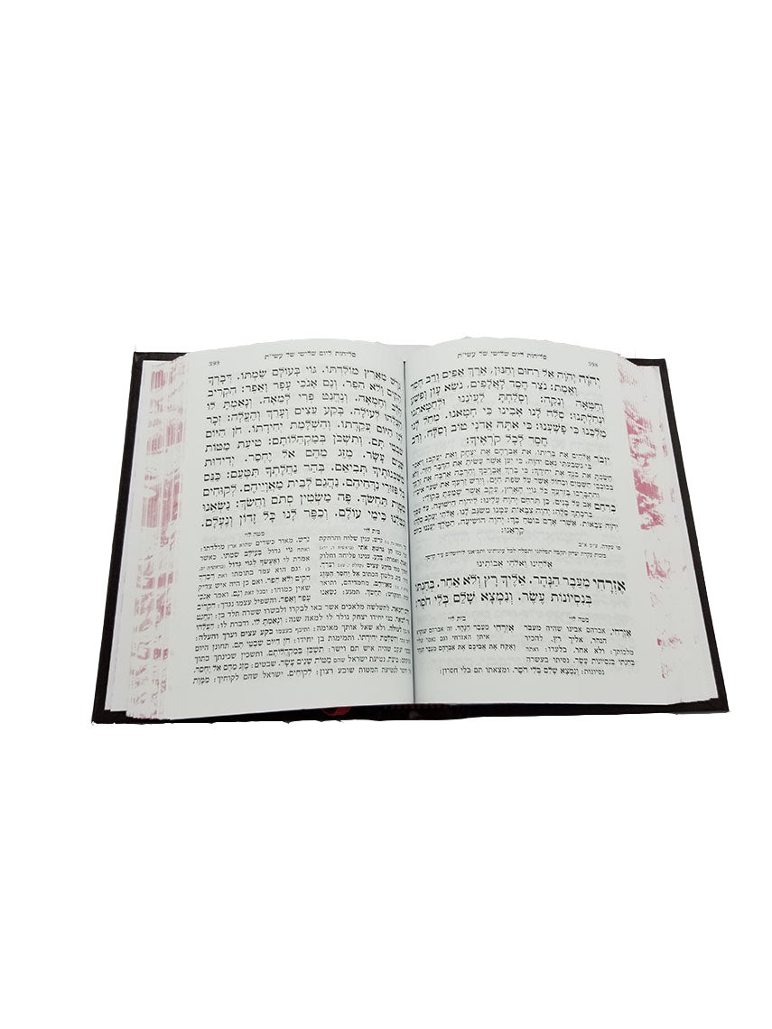 Open pages of the Selichos Matei Leivi Hachdush, medium, showing the Hebrew text layout