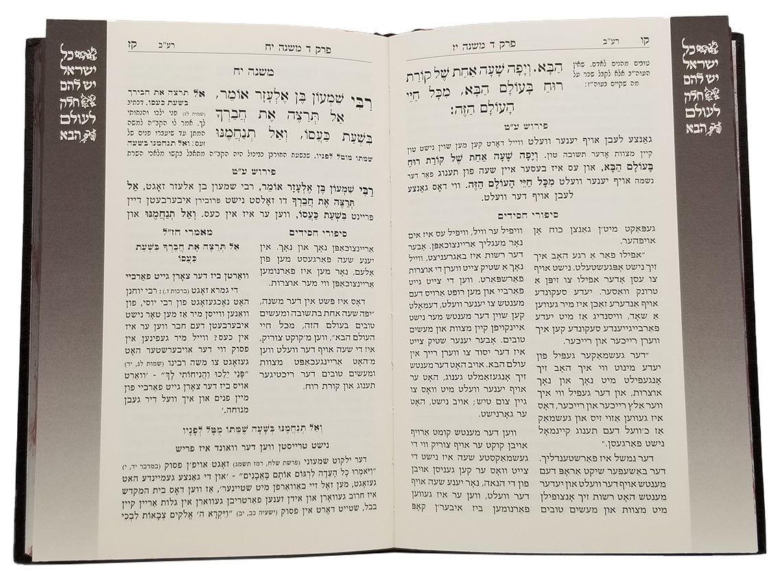 Open pages of the Pirkei Avos 2-volume set, 6 x 9, showing the Hebrew text layout