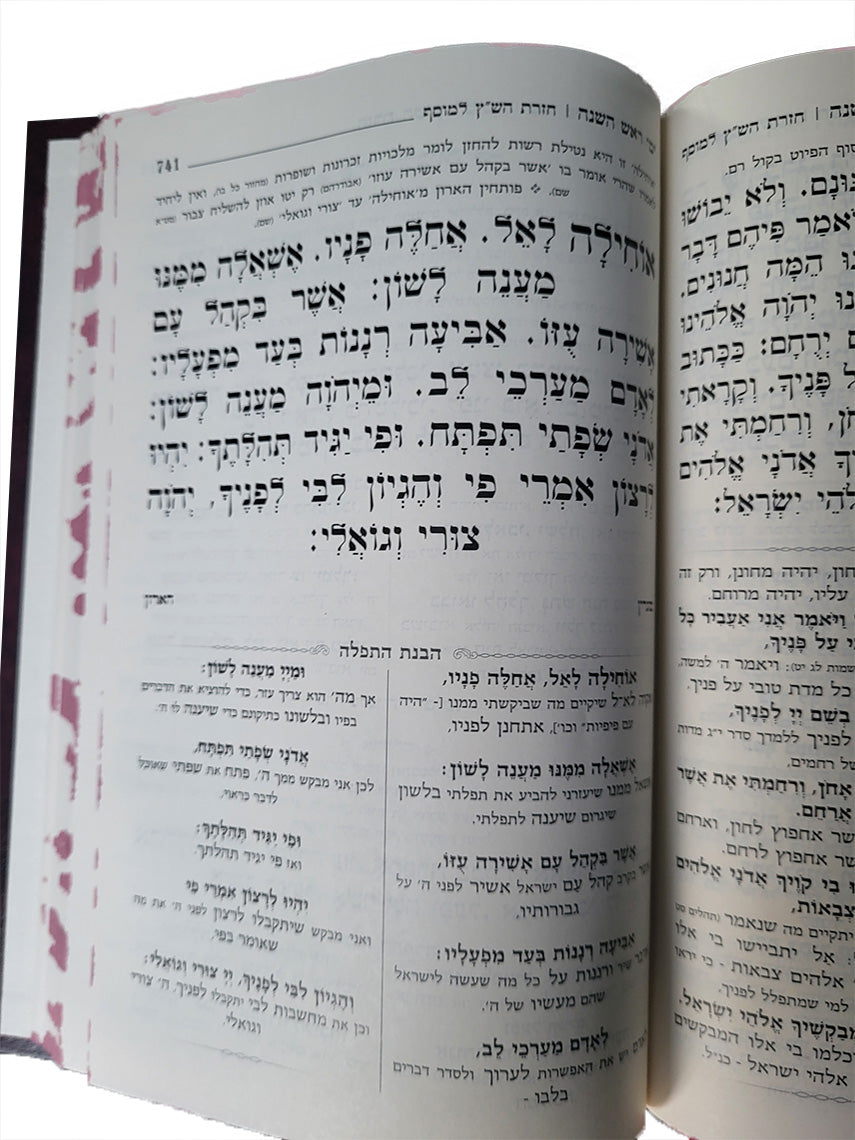Open pages of the Machzor Haarich large 5-volume set, camel, showing the Hebrew text layout